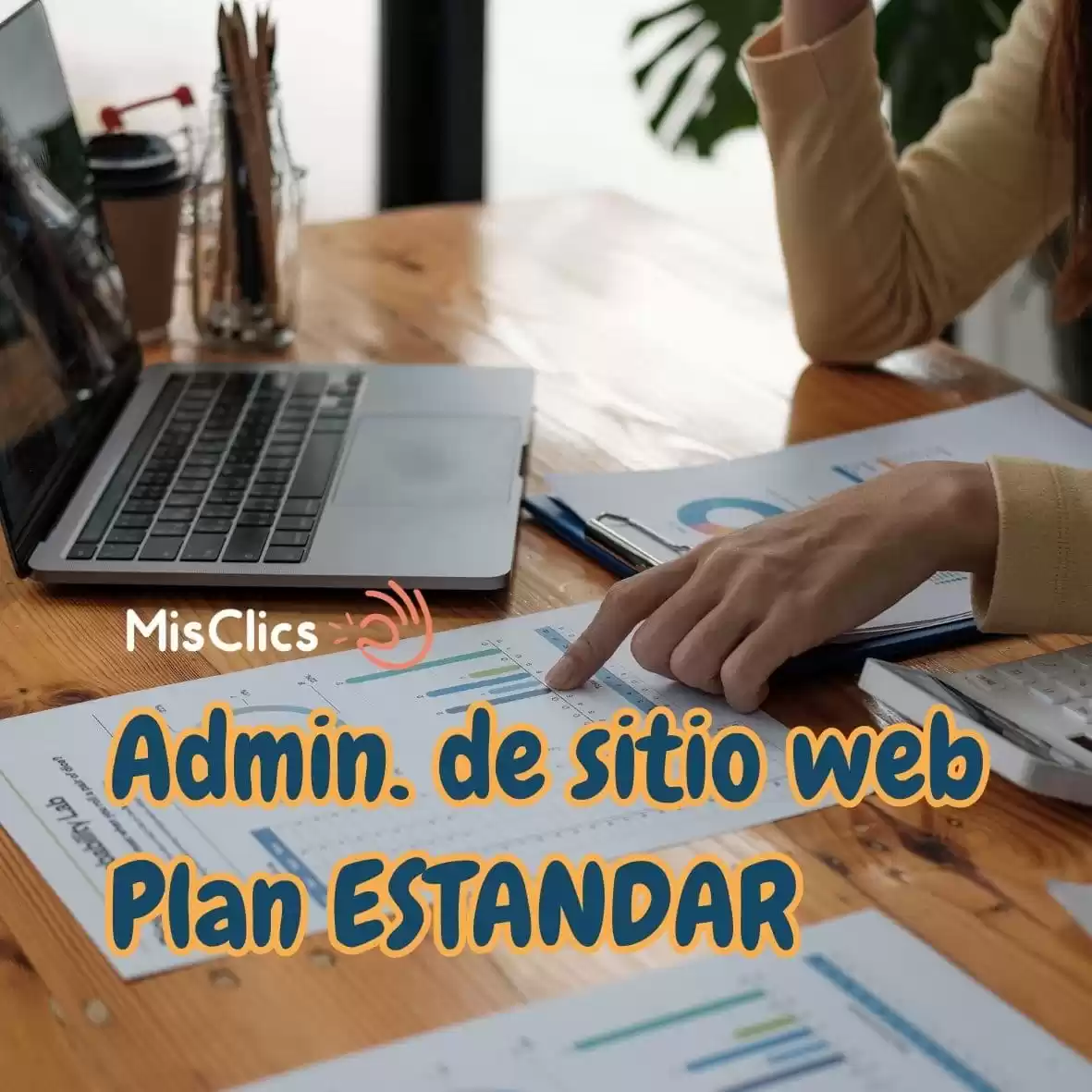 admin sitio web estándar