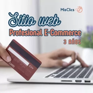 sitio web profesional e-commerce